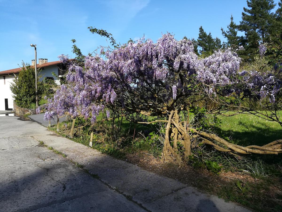 Casa Rural Miamendi Larrabetzu Екстериор снимка